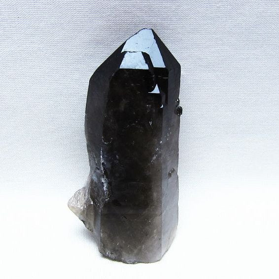 モリオン 原石 ブラジル産 黒水晶 一点物 171-9519