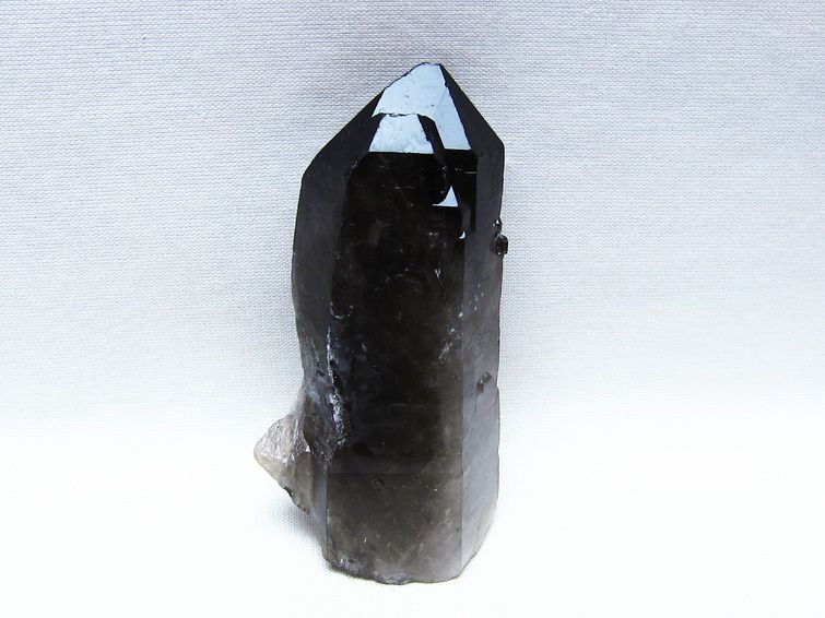 モリオン 原石 ブラジル産 黒水晶 一点物 171-9519