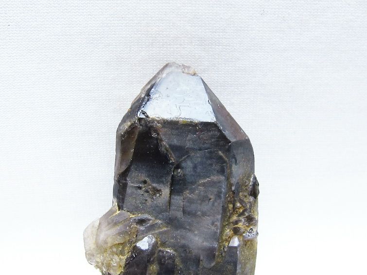 モリオン 黒水晶 原石 山東省産 一点物 171-9816