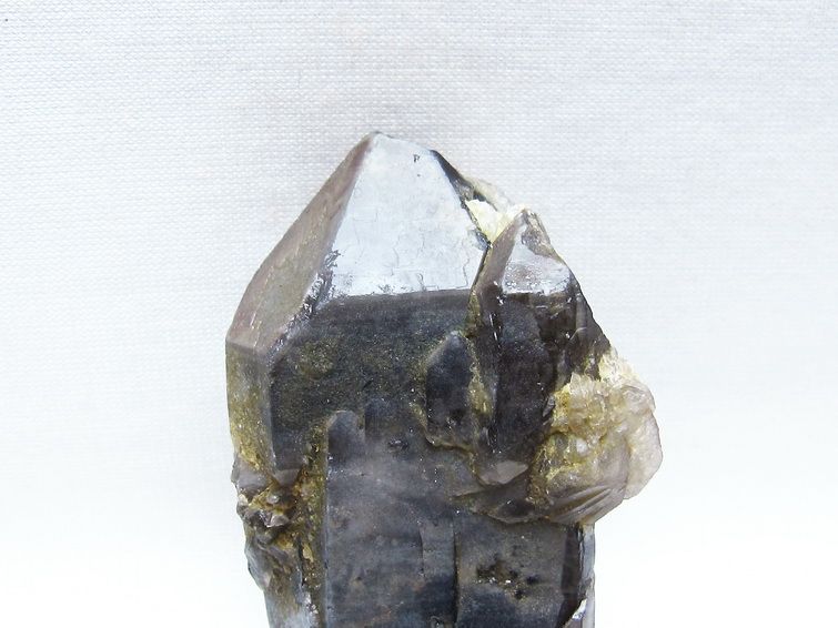 モリオン 黒水晶 原石 山東省産 一点物 171-9816