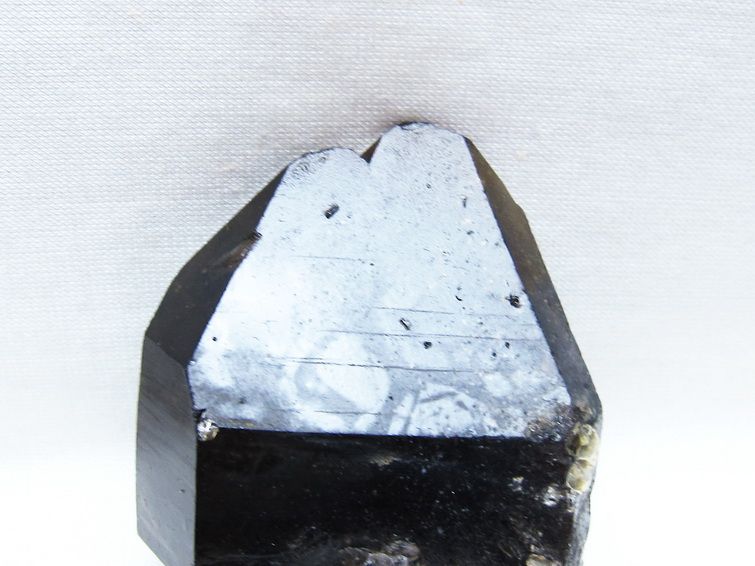 モリオン 原石 山東省産 黒水晶 原石 一点物 171-9866