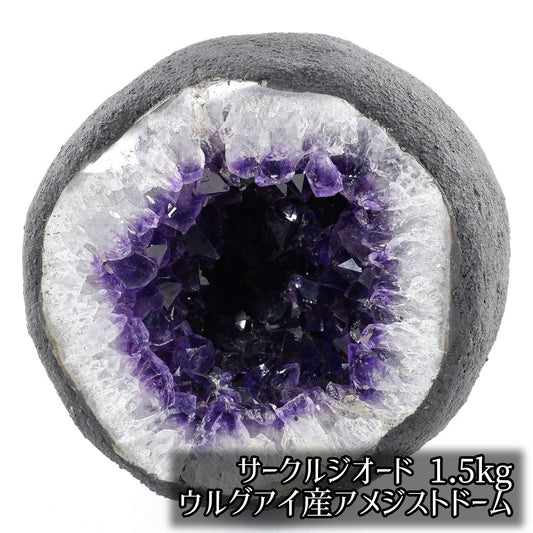 アメジスト ドーム ウルグアイ産 1.5kg 紫水晶 ジオード サークル 原石 置物 パワーストーン 浄化 風水 金運 一点物 174-2403
