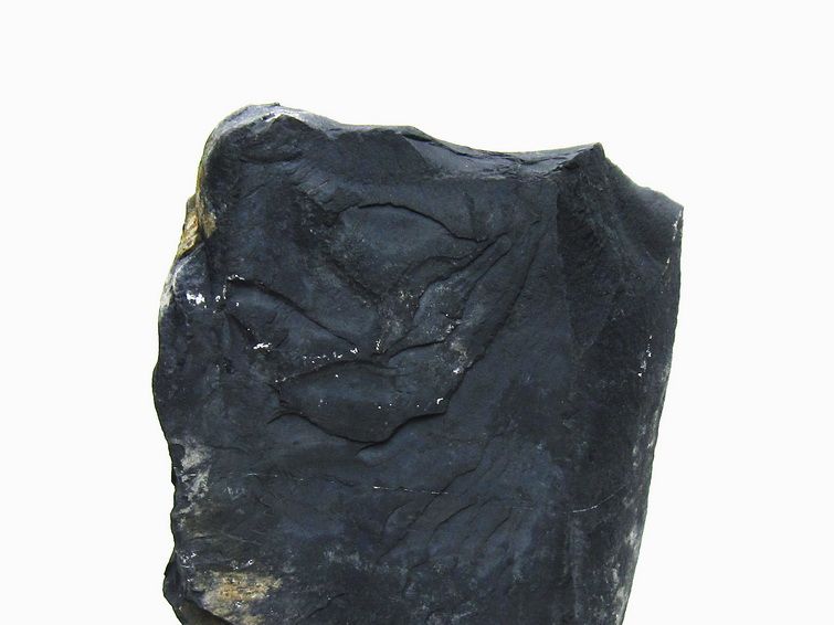 1.7Kg ブラックシリカ 原石一点物 181-4128 [sold out]
