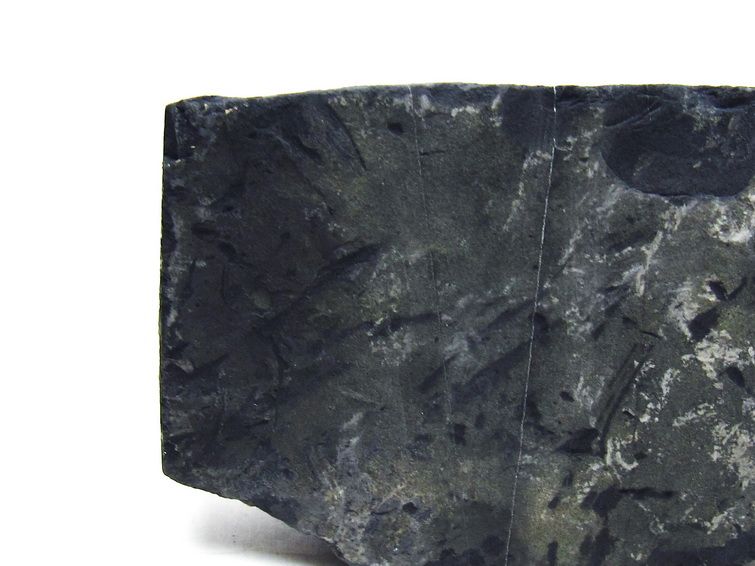 1.7Kg ブラックシリカ 原石一点物 181-4128 [sold out]