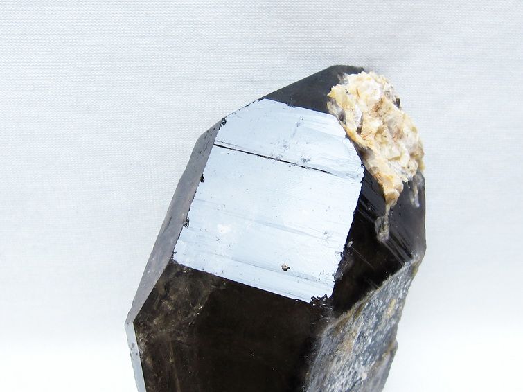 黒水晶 原石 モリオン 原石 山東省産  一点物 181-5673