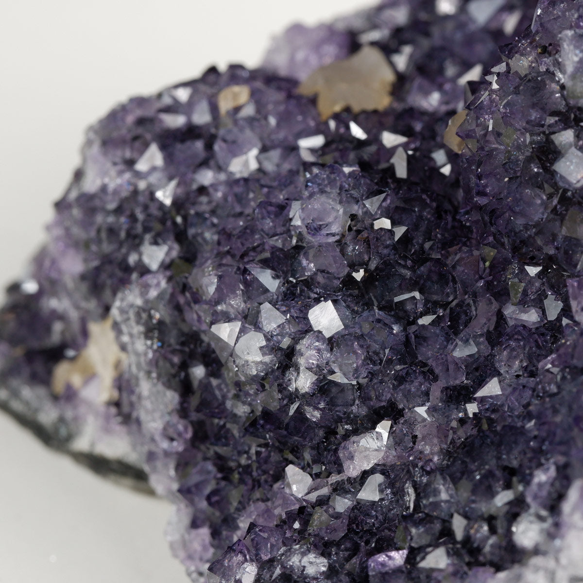 アメジスト クラスター ウルグアイ産 アメシスト 原石 花型 一点物  182-5613