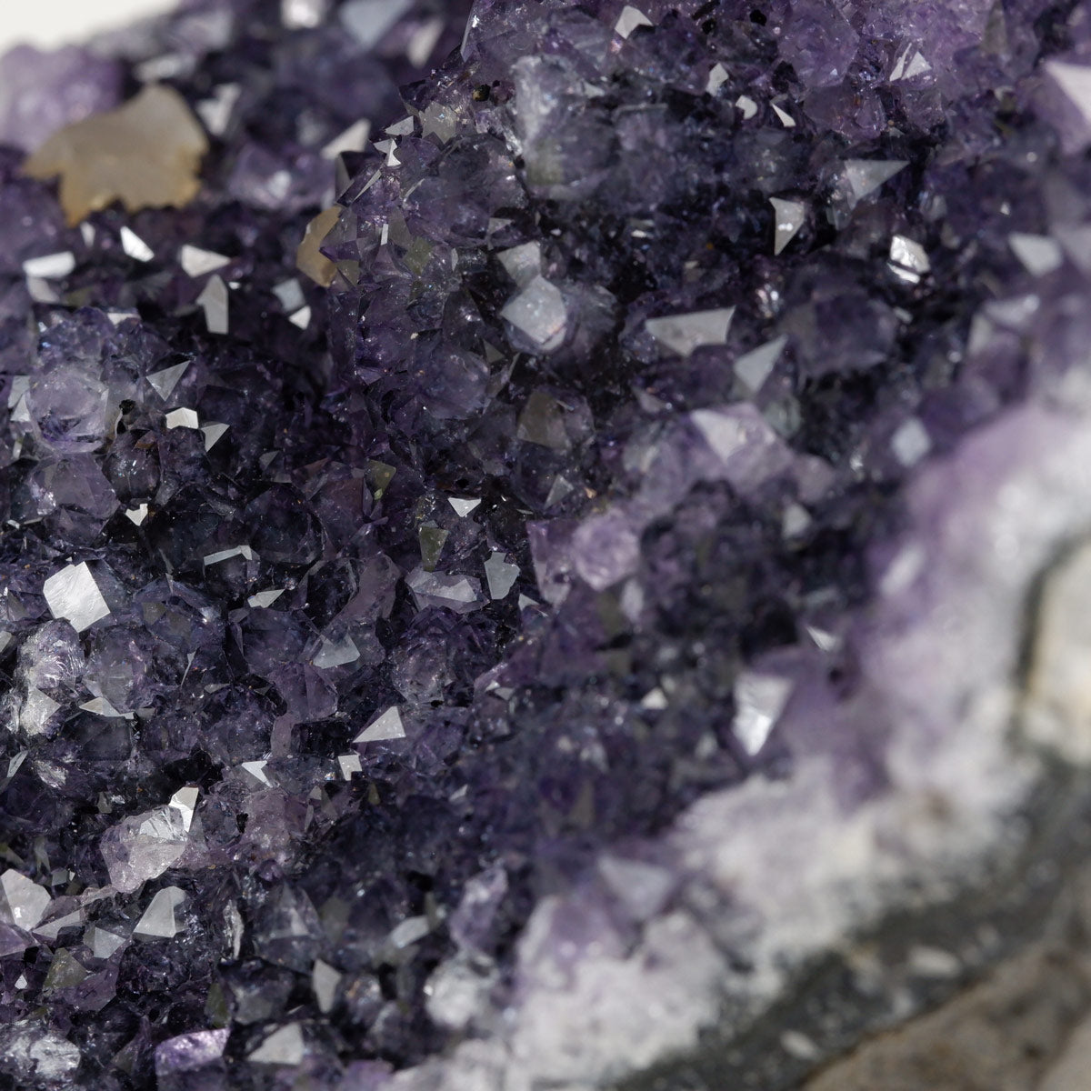 アメジスト クラスター ウルグアイ産 アメシスト 原石 花型 一点物  182-5613