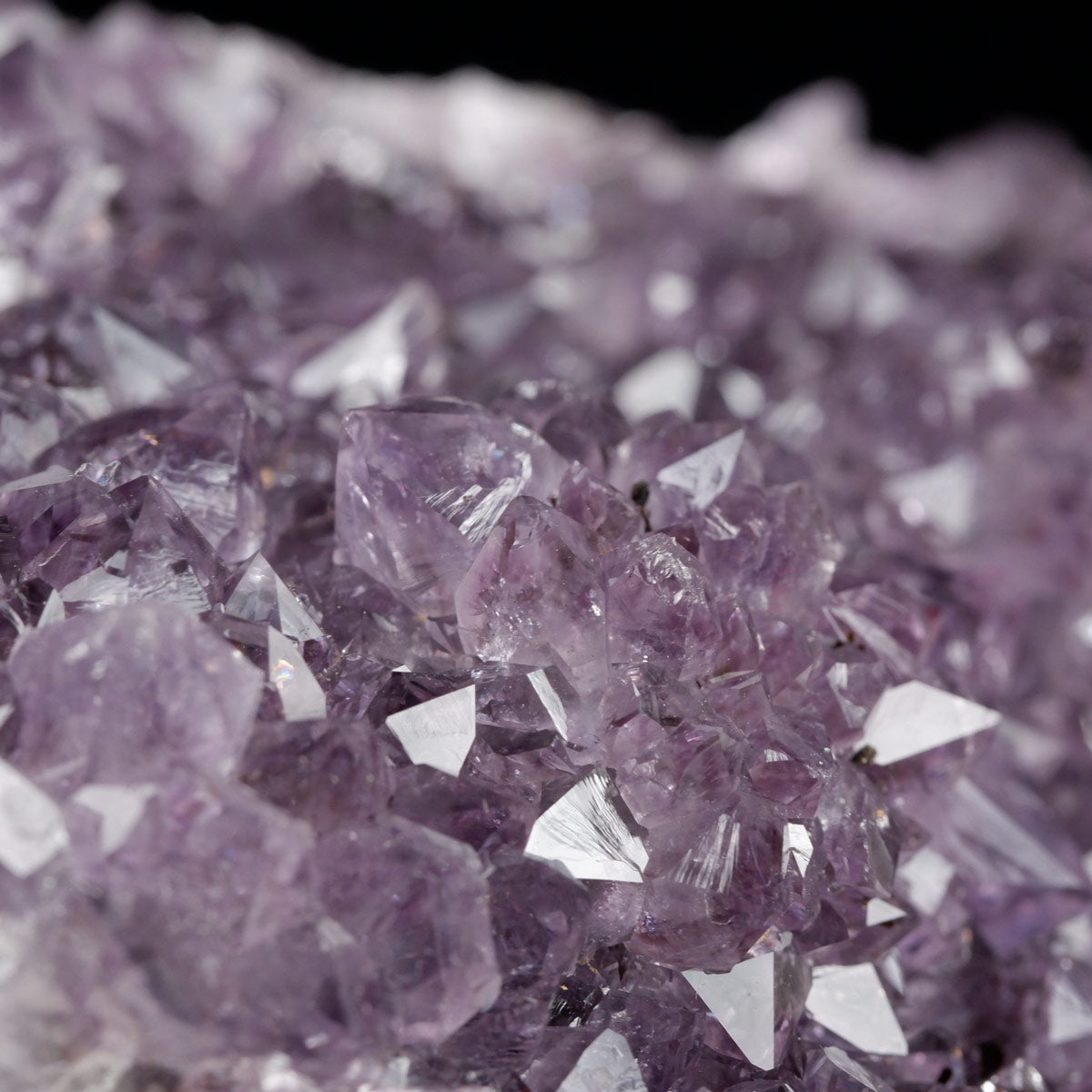 アメジスト クラスター ウルグアイ産 アメジスト 原石 置物 amethyst アメシスト 台座付属 花型 一点物  182-6230