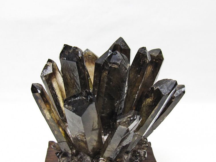 モリオン クラスター 黒水晶 原石 台座付属 一点物 182-8689