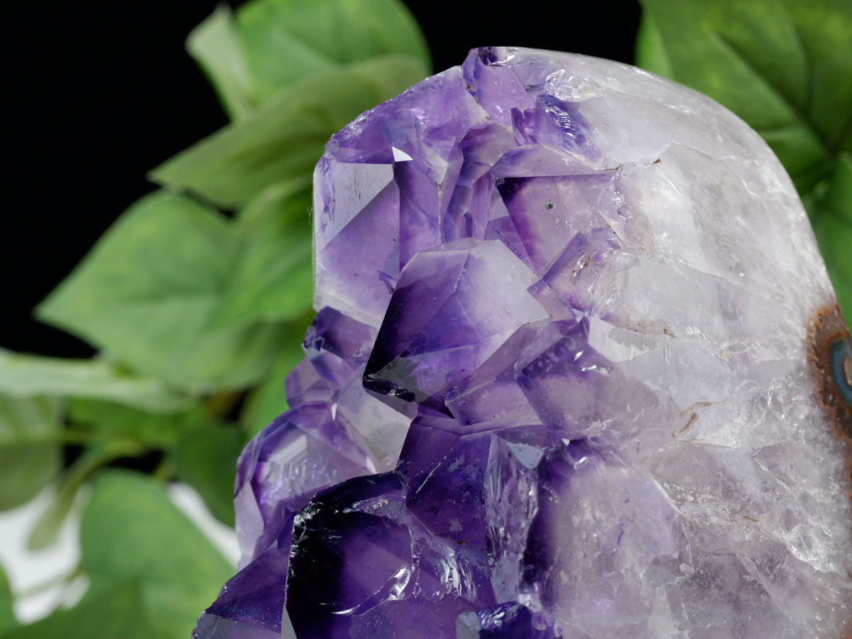 アメジスト 原石 ウルグアイ産 アメジスト クラスター amethyst 台座付属 一点物 182-8796