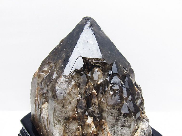 8.2Kg モリオン 黒水晶 原石 エレスチャル 台座付属 一点物 191-552