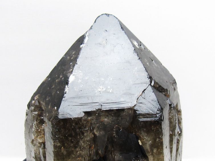 4.9Kg モリオン 黒水晶 原石 エレスチャル 台座付属 一点物 191-577