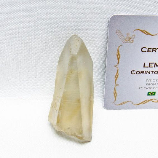 レムリアンシード シトリンクォーツ 原石 ブラジル ミナスジェライス州 コリント産 一点物 171-7324