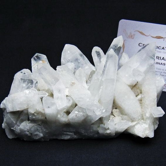 レムリアンシード 水晶 クラスター 原石 ブラジル ミナスジェライス州 コリント産 一点物 送料無料 182-7884