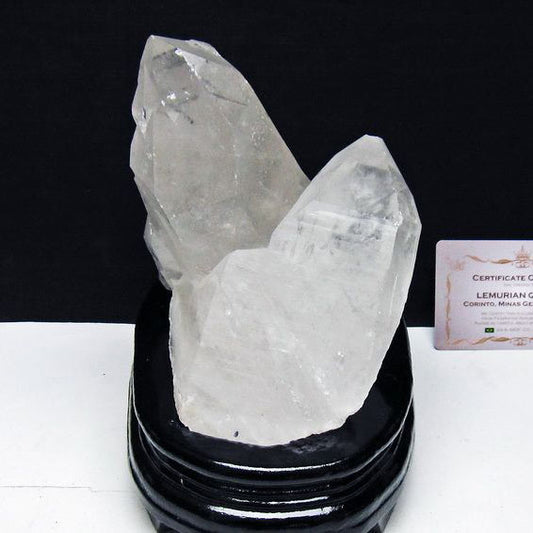 1.4Kg レムリアンシード 水晶 クラスター 原石 ブラジル ミナスジェライス州 コリント産 一点物 台座付属 送料無料 182-8100