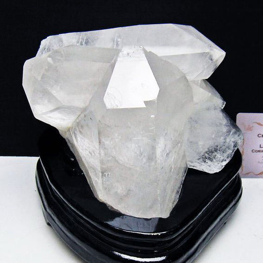 1.3Kg レムリアンシード 水晶 クラスター 原石 クォーツインクォーツ 台座付属 ブラジル ミナスジェライス州 コリント産 一点物 送料無料 182-8112