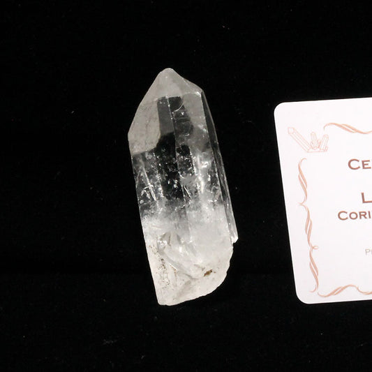 レムリアンシード 水晶 原石 ブラジル ミナスジェライス州 コリント産 一点物 271-276