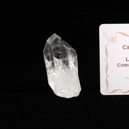 レムリアンシード 水晶 原石 ブラジル ミナスジェライス州 コリント産 一点物 271-278