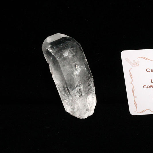 レムリアンシード 水晶 原石 ブラジル ミナスジェライス州 コリント産 一点物 271-281