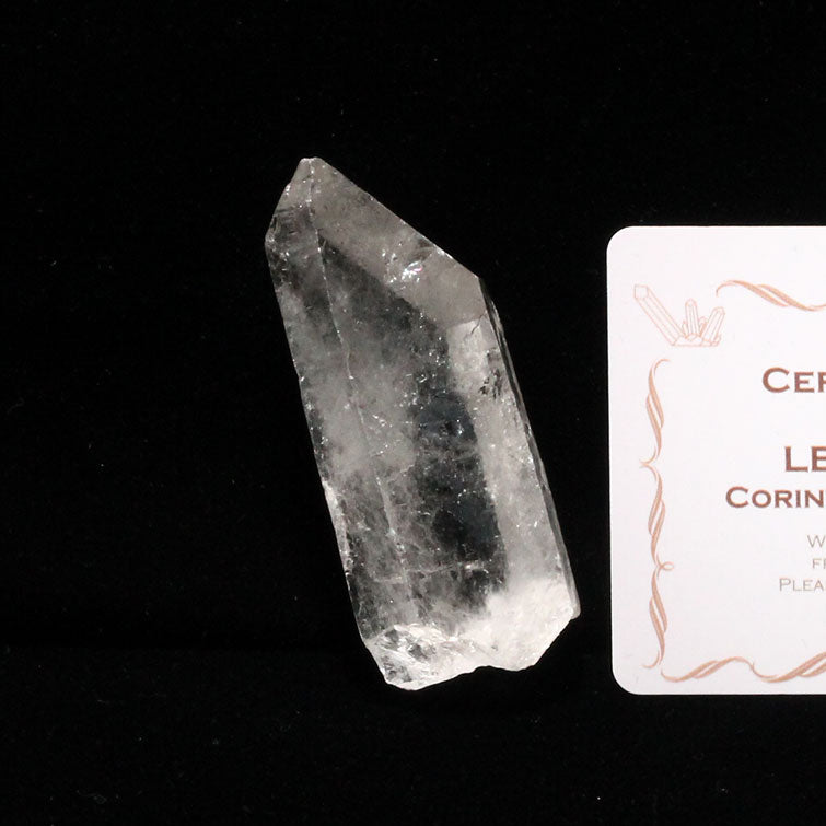 レムリアンシード 水晶 原石 ブラジル ミナスジェライス州 コリント産 証明書付属 一点物 271-295