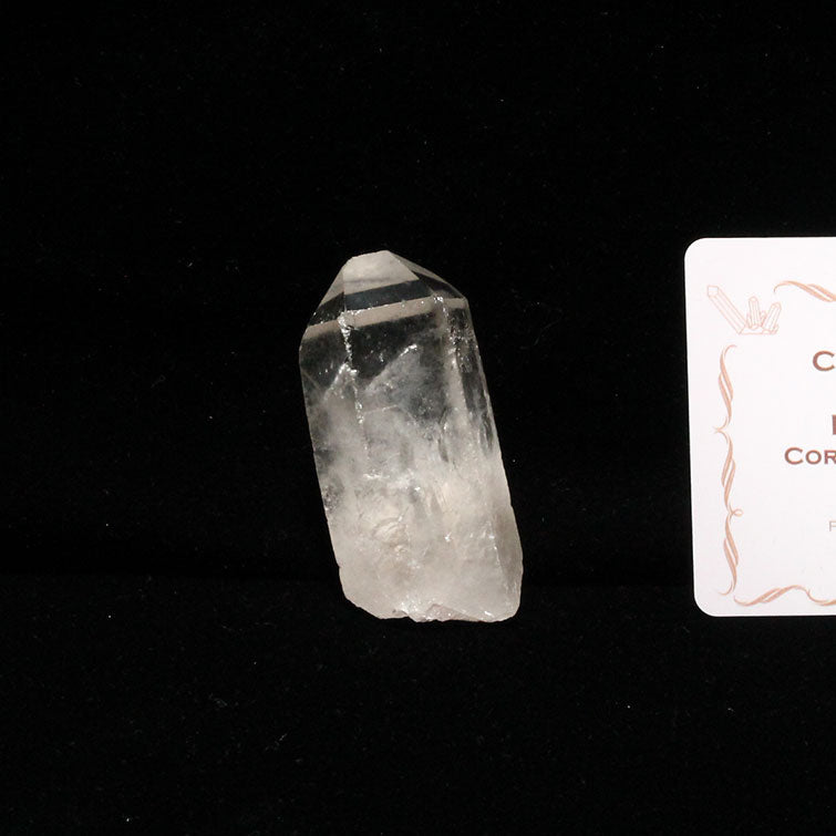 レムリアンシード 水晶 原石 ブラジル ミナスジェライス州 コリント産 一点物 271-298