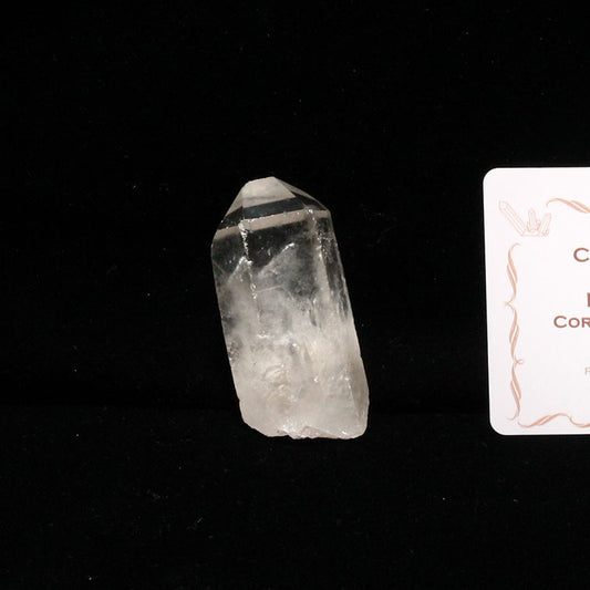 レムリアンシード 水晶 原石 ブラジル ミナスジェライス州 コリント産 一点物 271-298