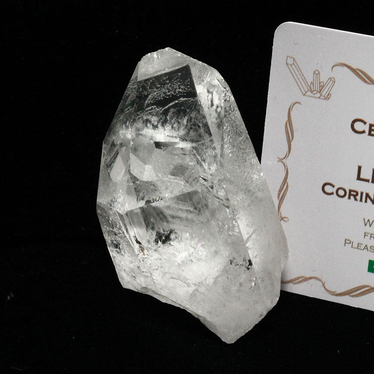 レムリアンシード 水晶 原石 ブラジル ミナスジェライス州 コリント産 クォーツインクォーツ 証明書付属 一点物 271-323