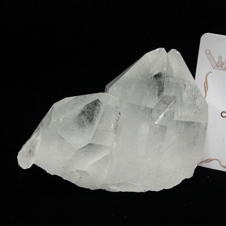 レムリアンシード 水晶 クラスター 原石 ブラジル ミナスジェライス州 コリント産 証明書付属 272-104