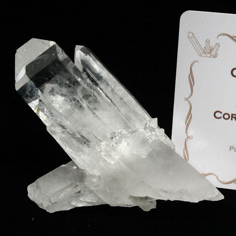レムリアンシード 水晶 クラスター 原石 ブラジル ミナスジェライス州 コリント産 証明書付属 272-110