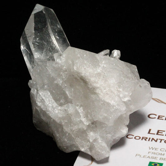 レムリアンシード 水晶 クラスター ブラジル ミナスジェライス州 コリント産 証明書付属 一点物 272-142