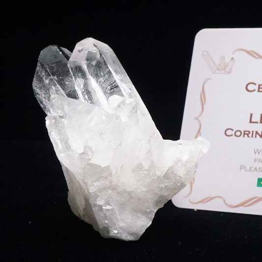 レムリアンシード 水晶 クラスター 原石 ブラジル ミナスジェライス州 コリント産 証明書付属 一点物 272-290