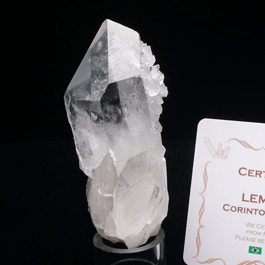 レムリアンシード 水晶 クラスター 原石 ブラジル ミナスジェライス州 コリント産 証明書付属 一点物 272-293