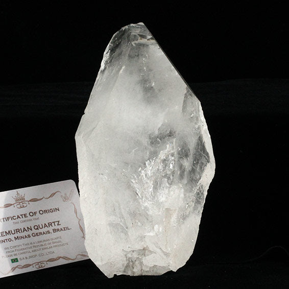 1.3Kg レムリアンシード 水晶 原石 ブラジル ミナスジェライス州 コリント産 証明書付属 一点物 送料無料 281-271