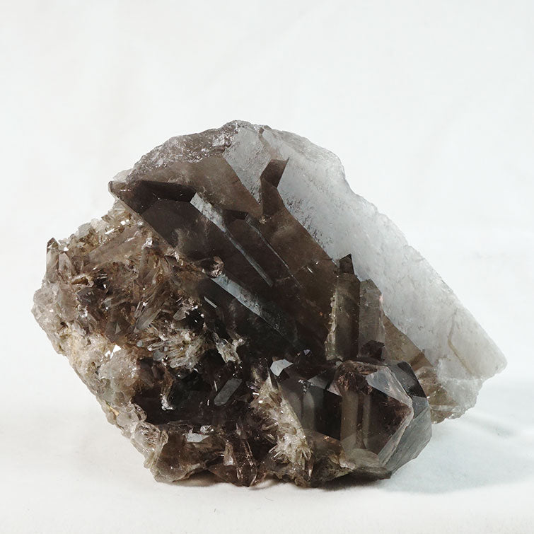 スモーキークォーツ クラスター モリオン 黒水晶 煙水晶 原石 ブラジル産 一点物 282-205