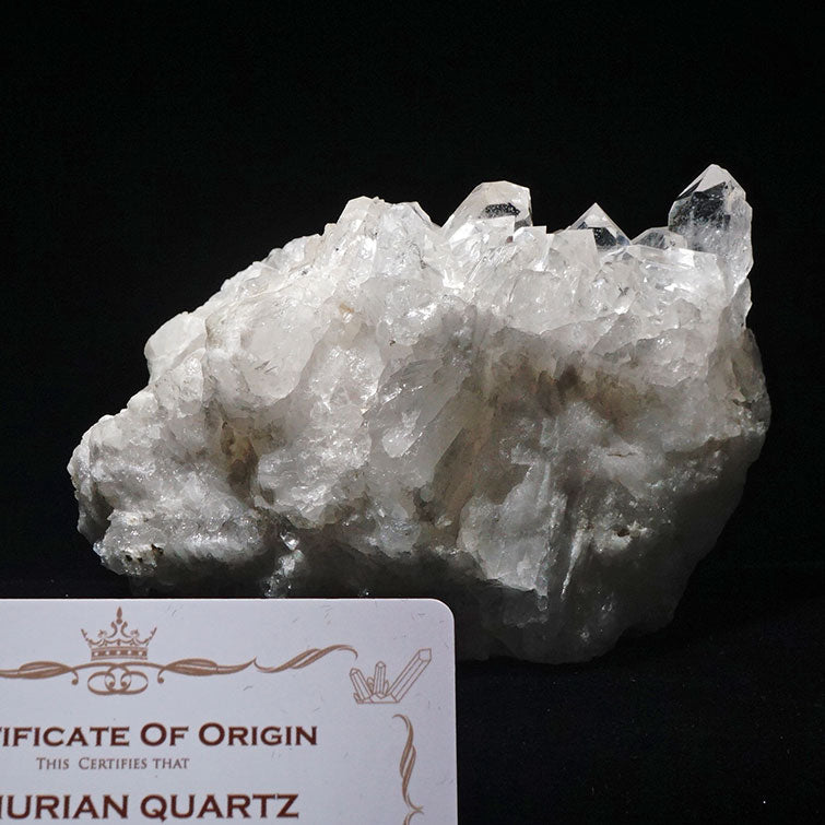 レムリアンシード 水晶 クラスター ブラジル ミナスジェライス州 コリント産 証明書付属 一点物 282-236