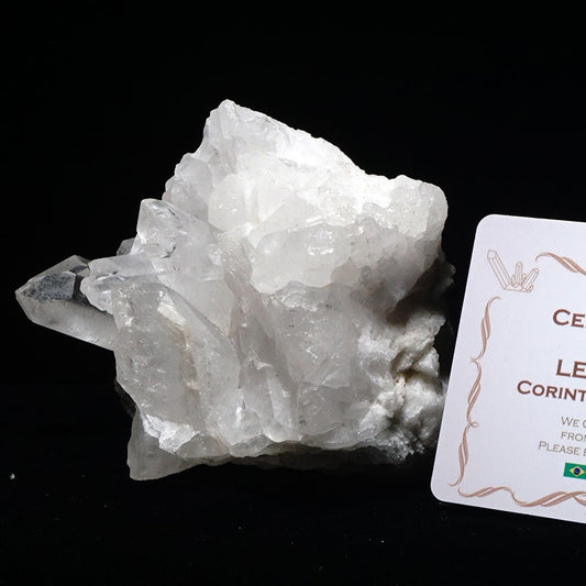 レムリアンシード 水晶 クラスター ブラジル ミナスジェライス州 コリント産 証明書付属 一点物 282-244