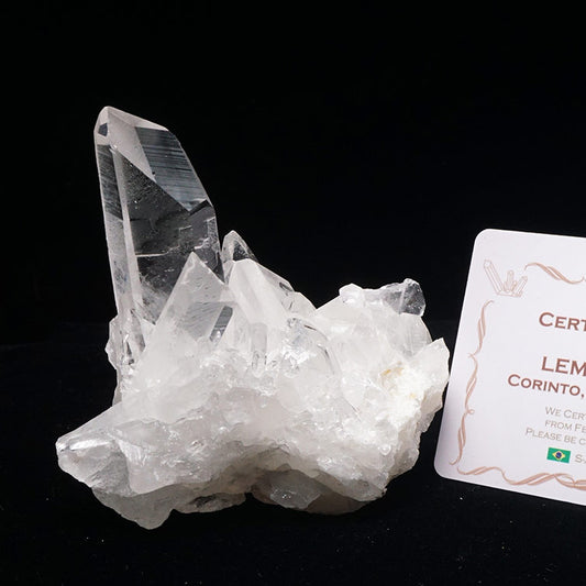 レムリアンシード 水晶 クラスター 原石 ブラジル ミナスジェライス州 コリント産 証明書付属 一点物 282-606