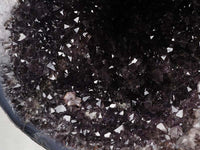 7.9Kg アメジスト ドーム ウルグアイ産 サークルジオード 原石 Amethyst アメシスト 紫水晶 一点物  174-1371